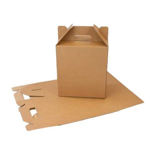 Contoh bentuk Box Tenteng